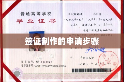 龙城签证制作的申请步骤